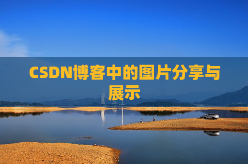 CSDN博客中的图片分享与展示